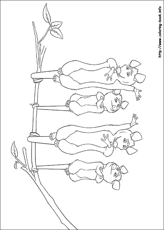 Over the hedge coloring picture